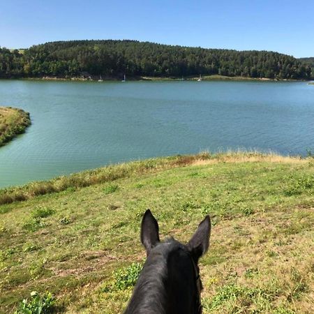 Feriendorf Seeblick - Tiny Chalets Direkt Am See Neunburg vorm Wald Eksteriør billede