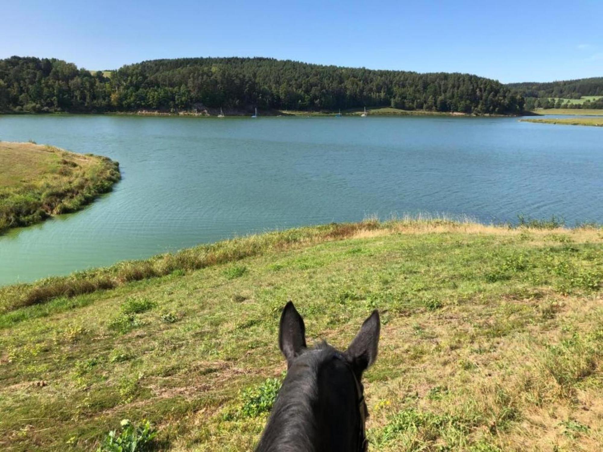 Feriendorf Seeblick - Tiny Chalets Direkt Am See Neunburg vorm Wald Eksteriør billede