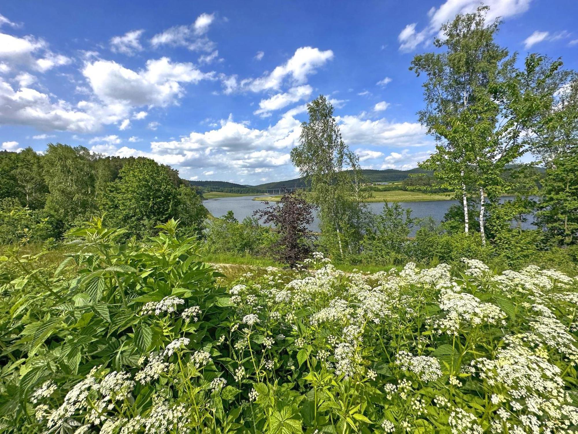 Feriendorf Seeblick - Tiny Chalets Direkt Am See Neunburg vorm Wald Eksteriør billede